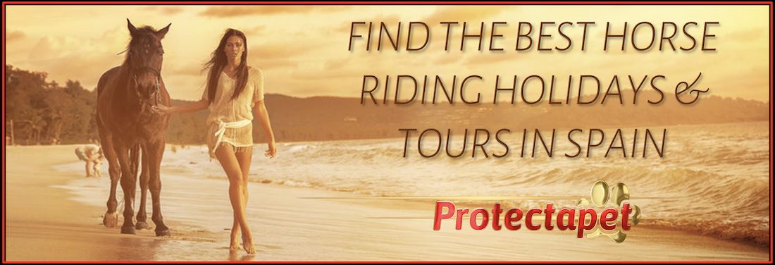 Find the best horse riding holidays and horse riding tours in Spain with Protectapet 